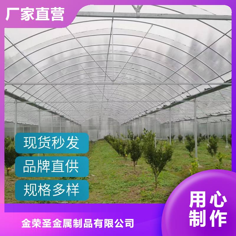 黑龙江省优选<金荣圣>蓝莓杨梅水果大棚在线报价