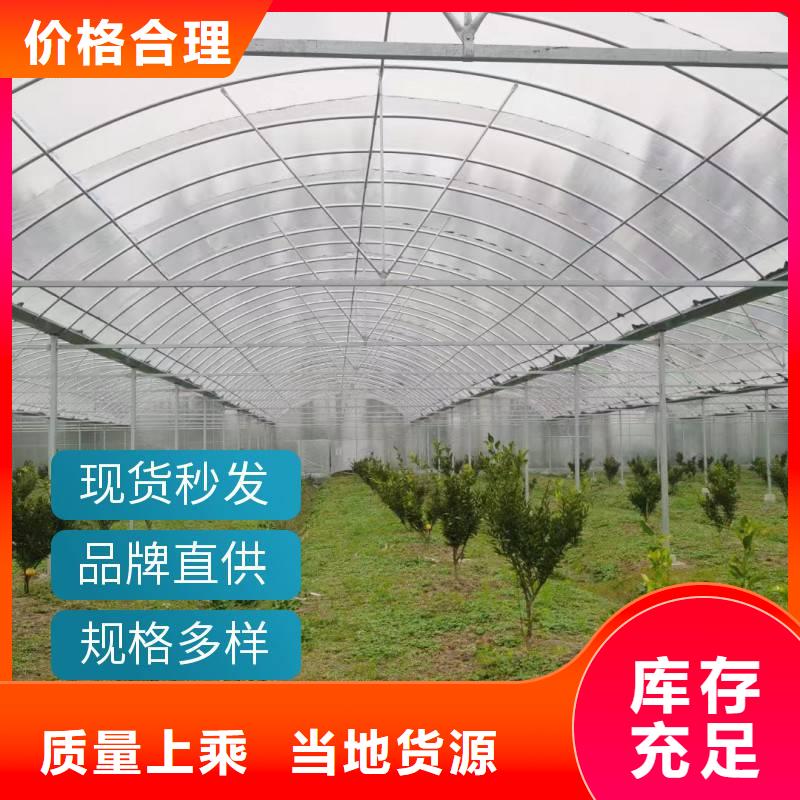 江苏省本地厂家值得信赖<金荣圣>蔬菜大棚厂10年经验