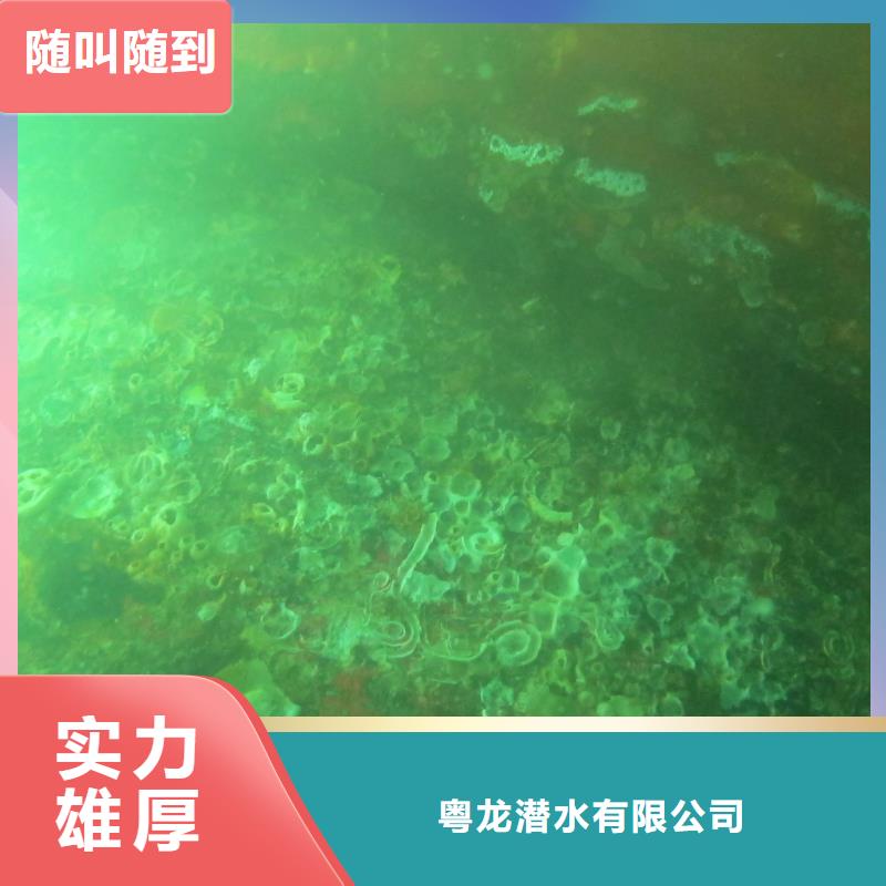水下拍照欢迎电询