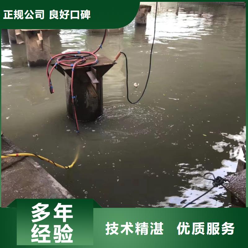 水下拍照欢迎电询