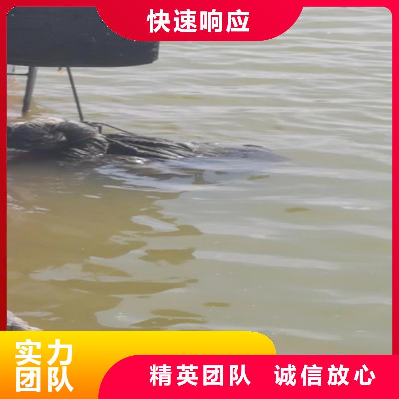 水下拍照欢迎电询