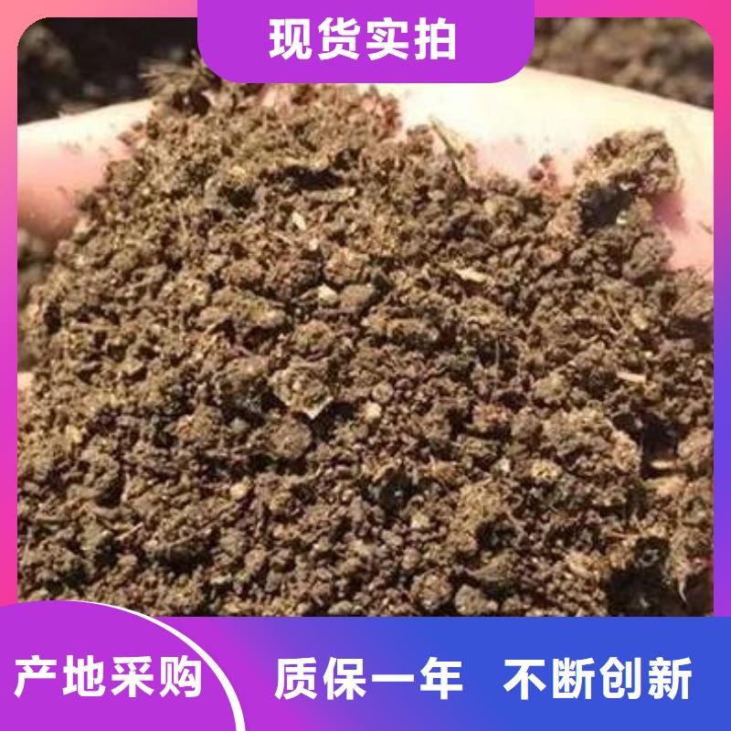 发酵鸡粪肥沃耕田