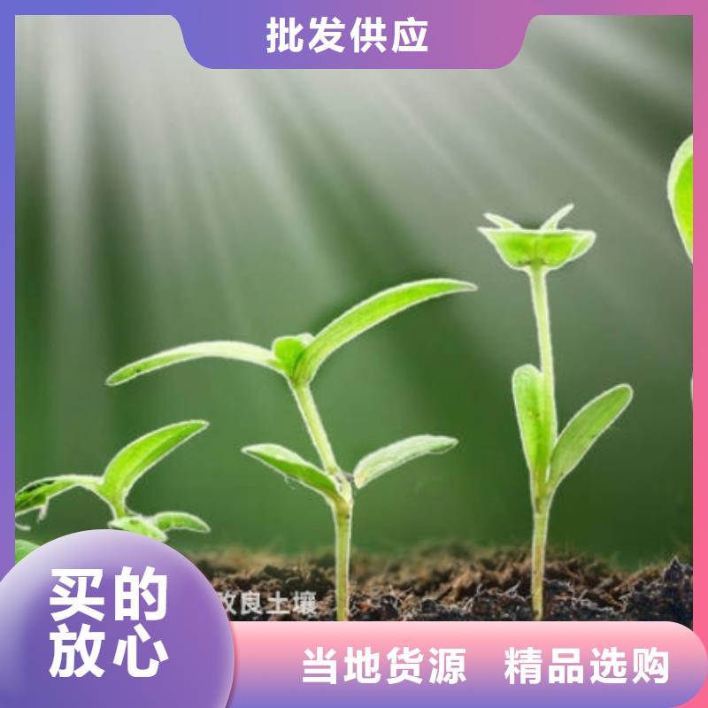 有机肥好肥料