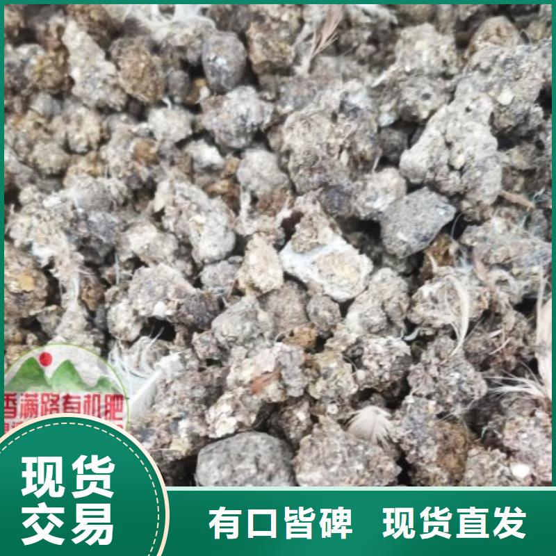 发酵纯鸡粪增加土壤肥力