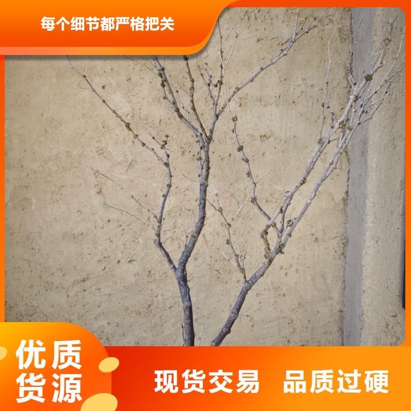 夯土墙面漆全包施工多少钱