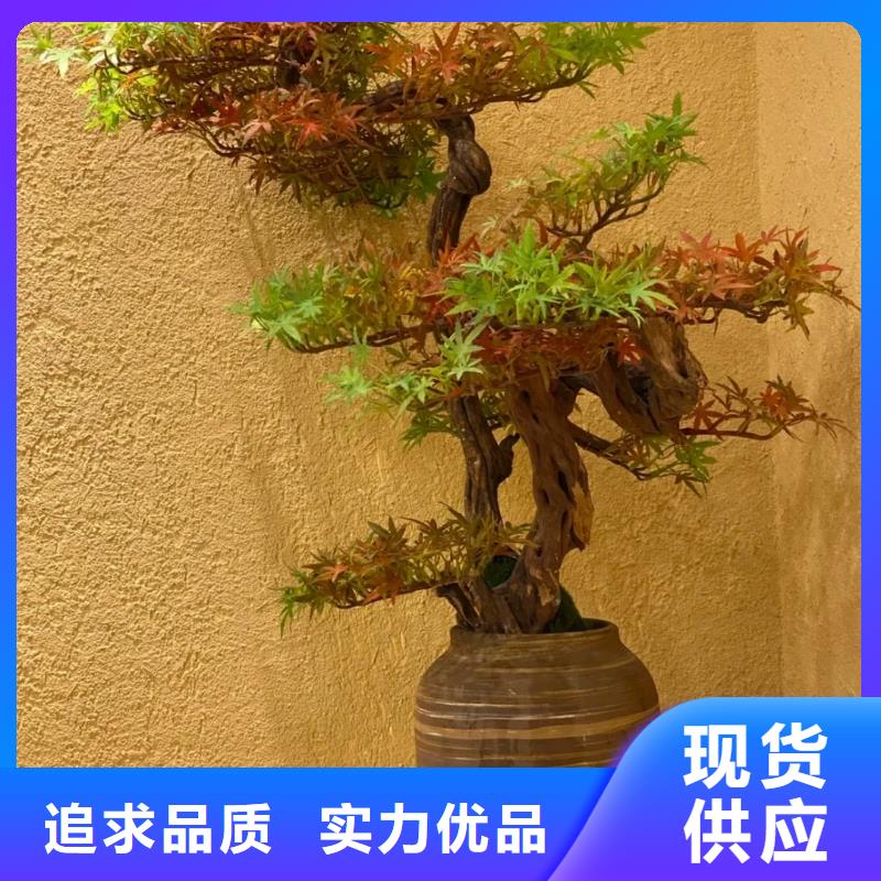 外墙夯土漆施工厂家
