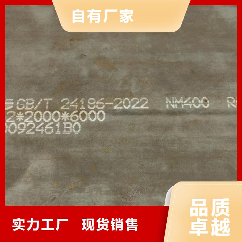 实拍品质保障多麦NM450耐磨板厂家