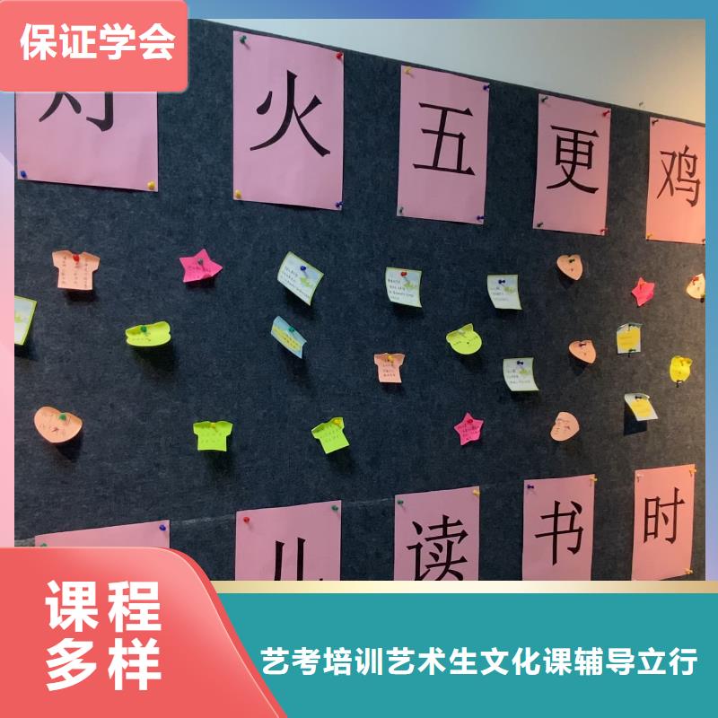 山东艺考文化课高三复读辅导理论+实操