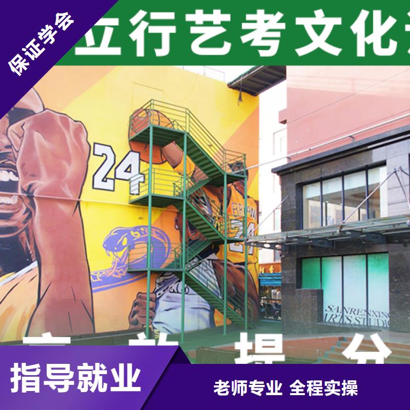 艺考生文化课培训学校靠谱的