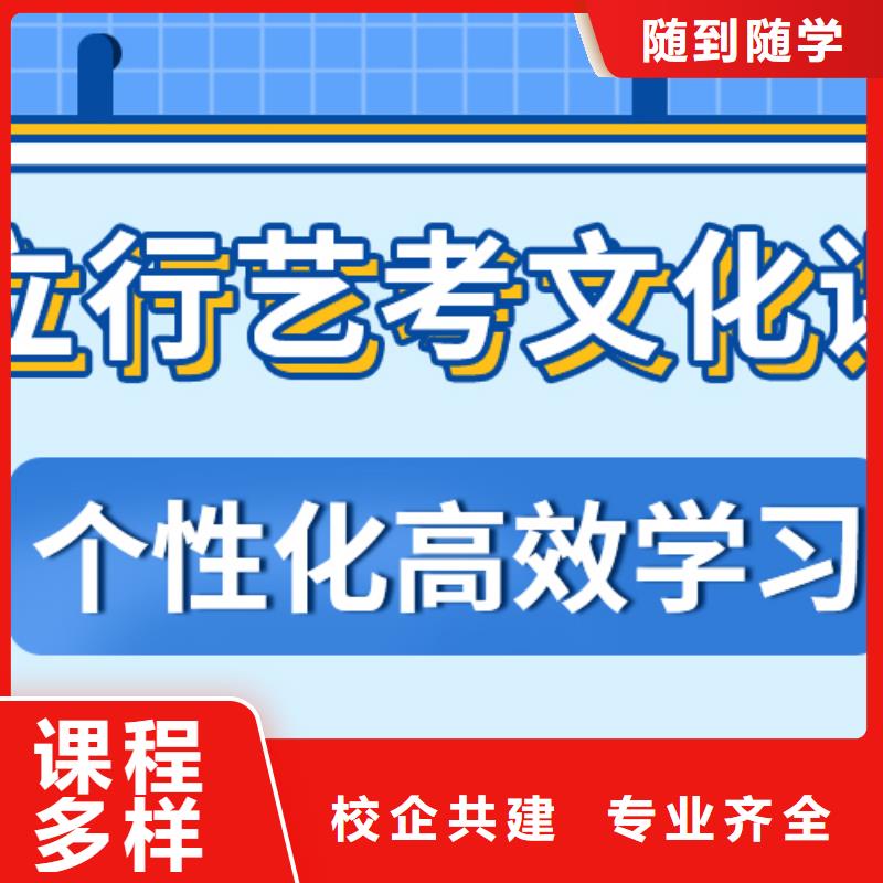 艺考文化课补习高考语文辅导正规学校