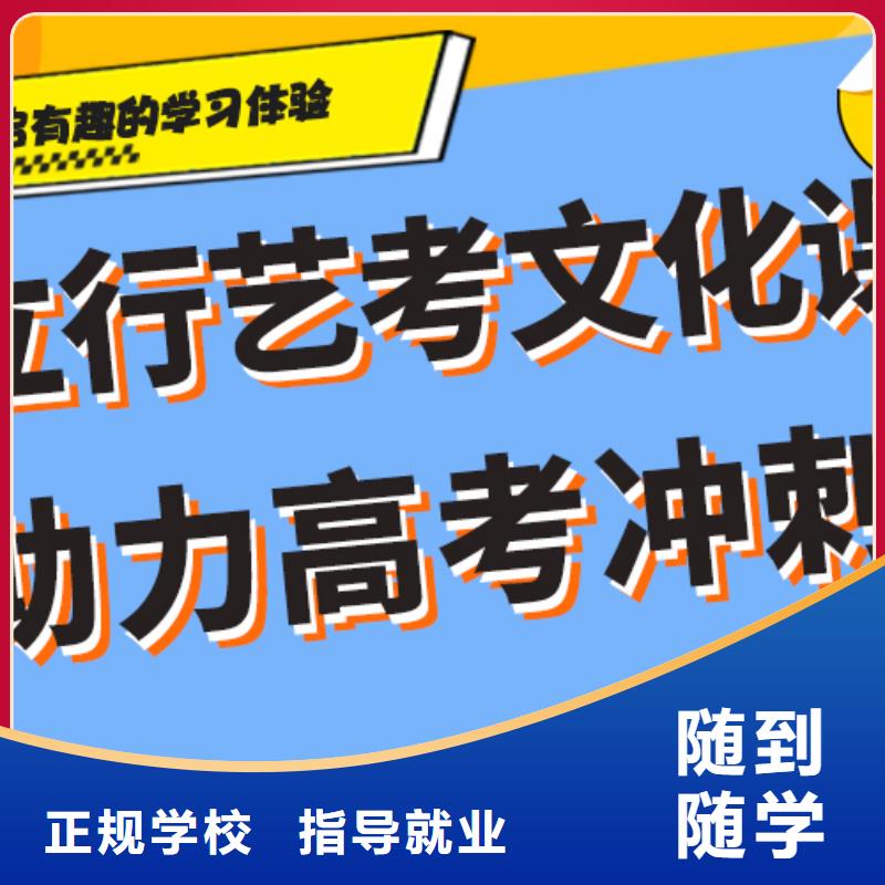 艺术生文化课_高考手把手教学