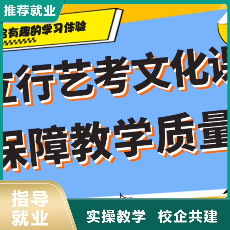 【艺术生文化课【舞蹈艺考培训】学真技术】