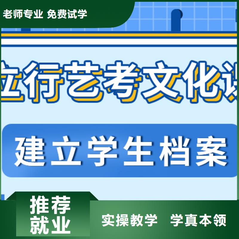 艺术生文化课高考志愿一对一指导技能+学历