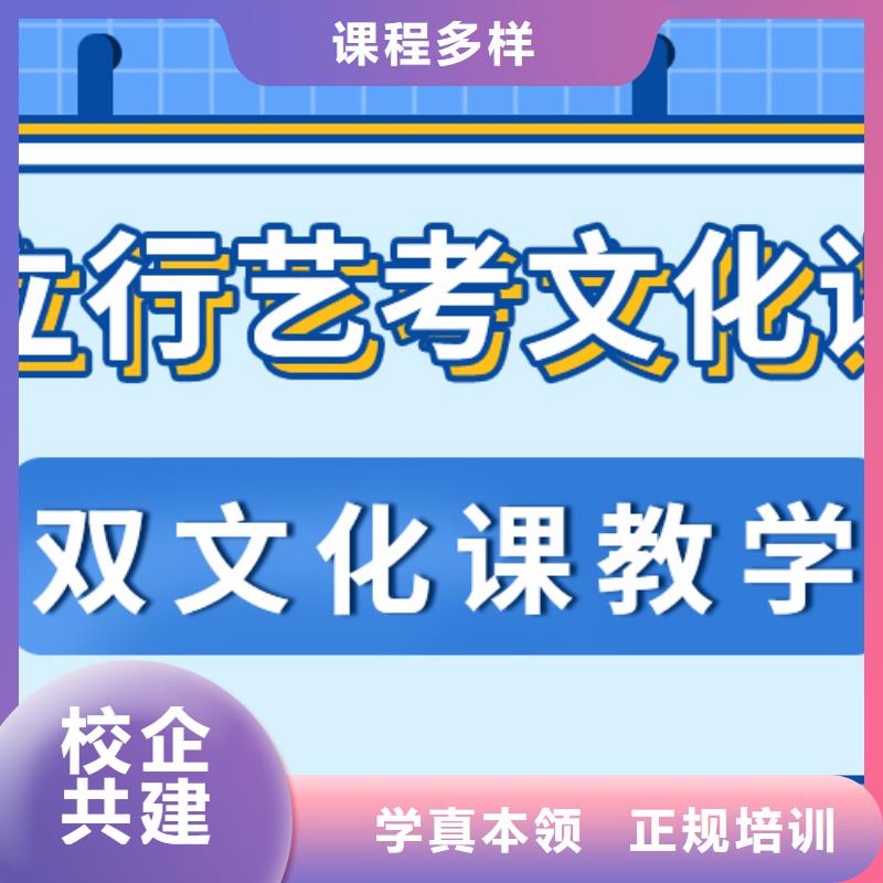 艺术生文化课艺术生文化补习实操教学