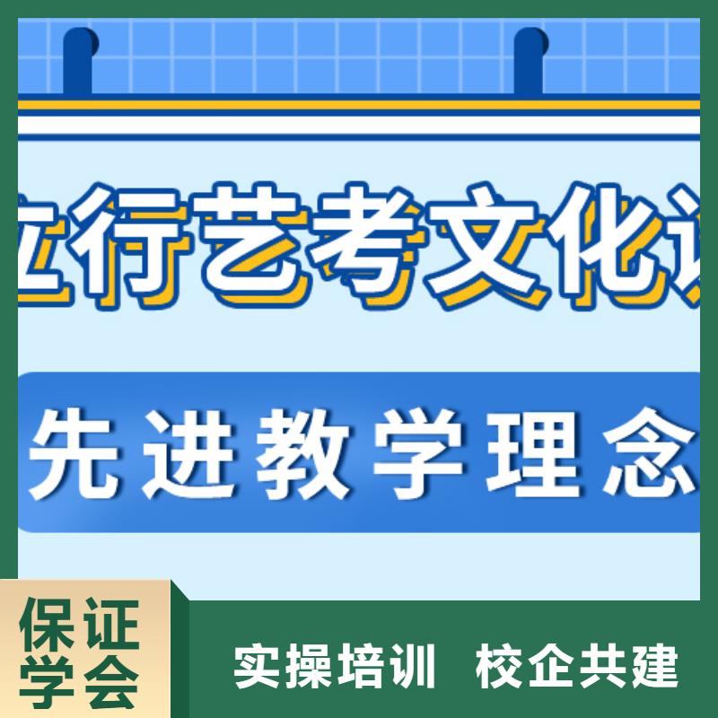 艺术生文化课高考志愿一对一指导技能+学历