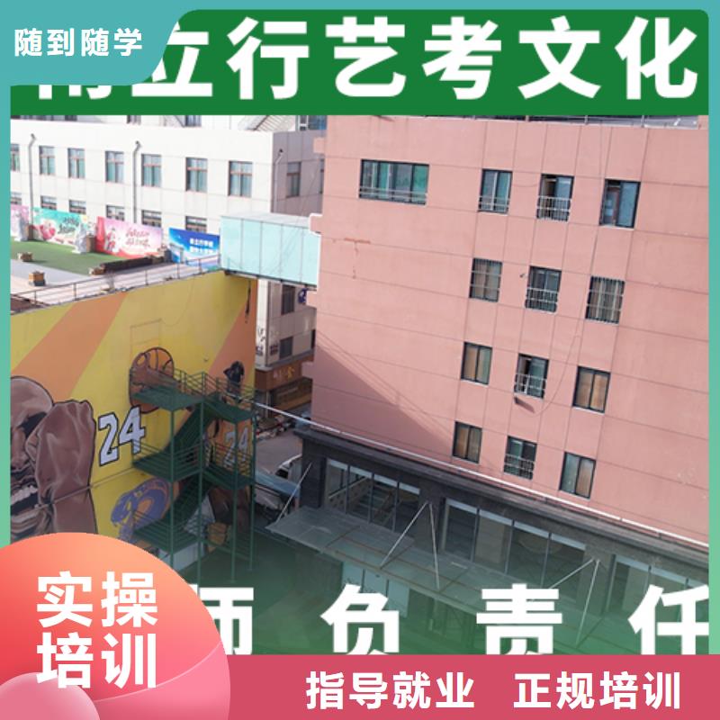 艺术生文化课,编导班指导就业