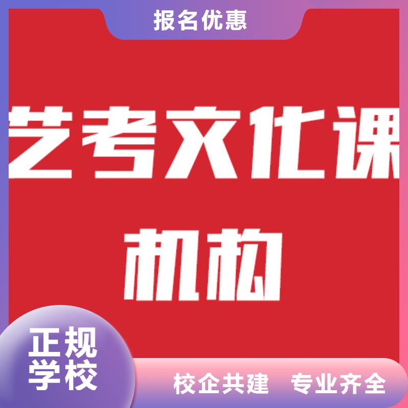 艺考文化课培训老师专业