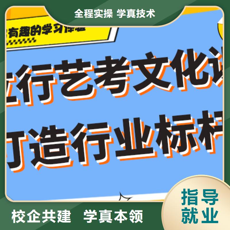 艺考生文化课【艺考培训班】理论+实操