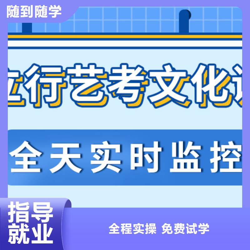 艺考生文化课【艺考培训班】理论+实操