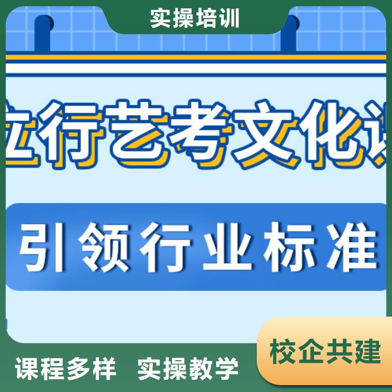 美术生文化课教的好的大概多少钱