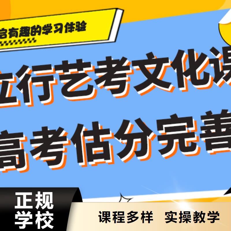 2025年艺考生文化课培训补习