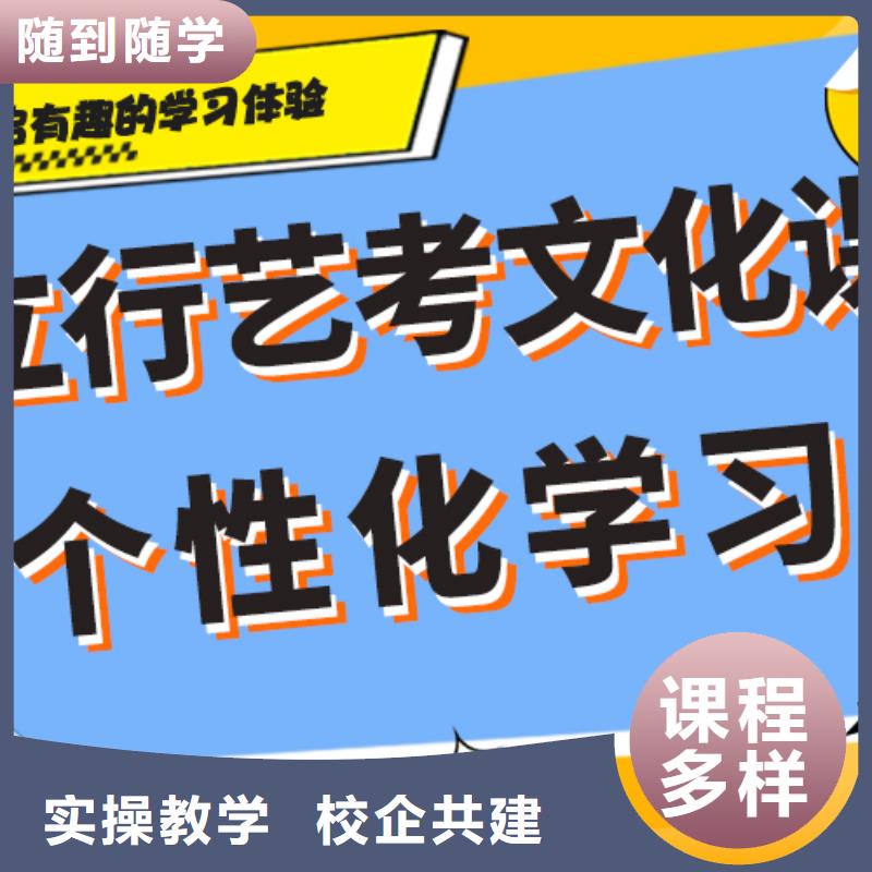 2025年艺考生文化课培训补习