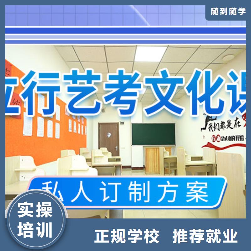 艺考文化课-【【复读学校】】理论+实操