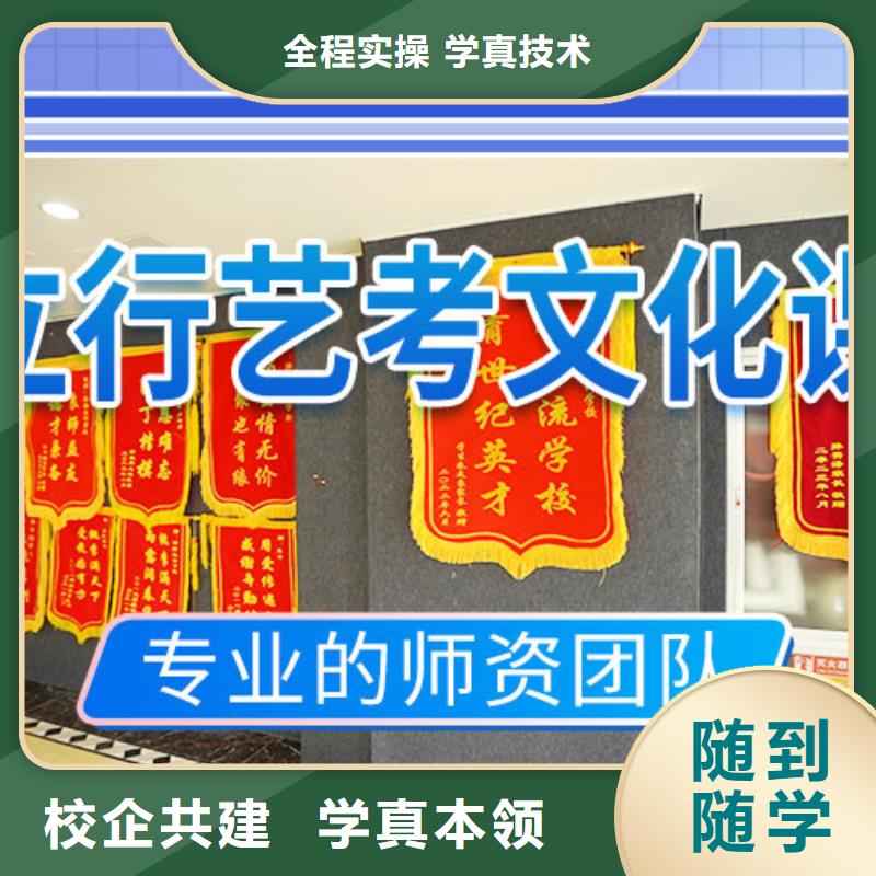 艺考生文化课冲刺【艺考培训机构】学真技术