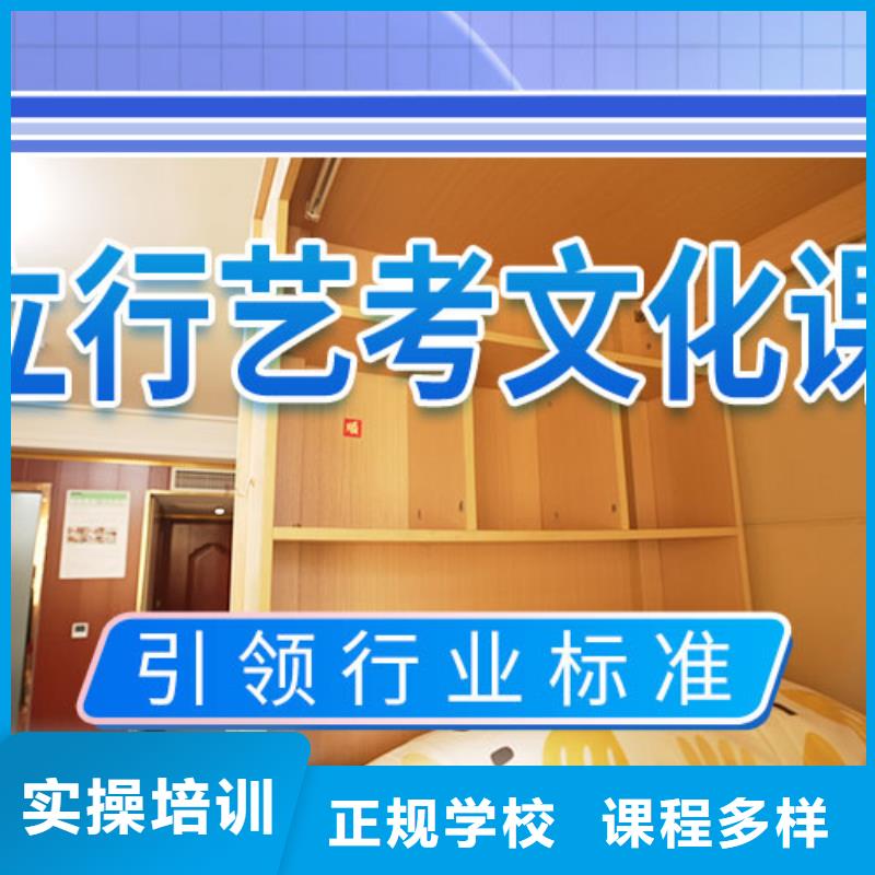 艺考生文化课冲刺,艺考辅导老师专业