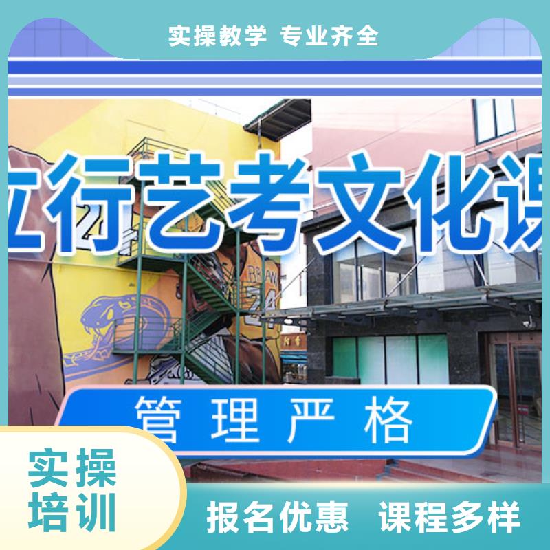 艺考生文化课冲刺【艺考培训】理论+实操