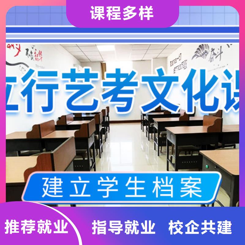 艺考生文化课冲刺【艺考培训】理论+实操