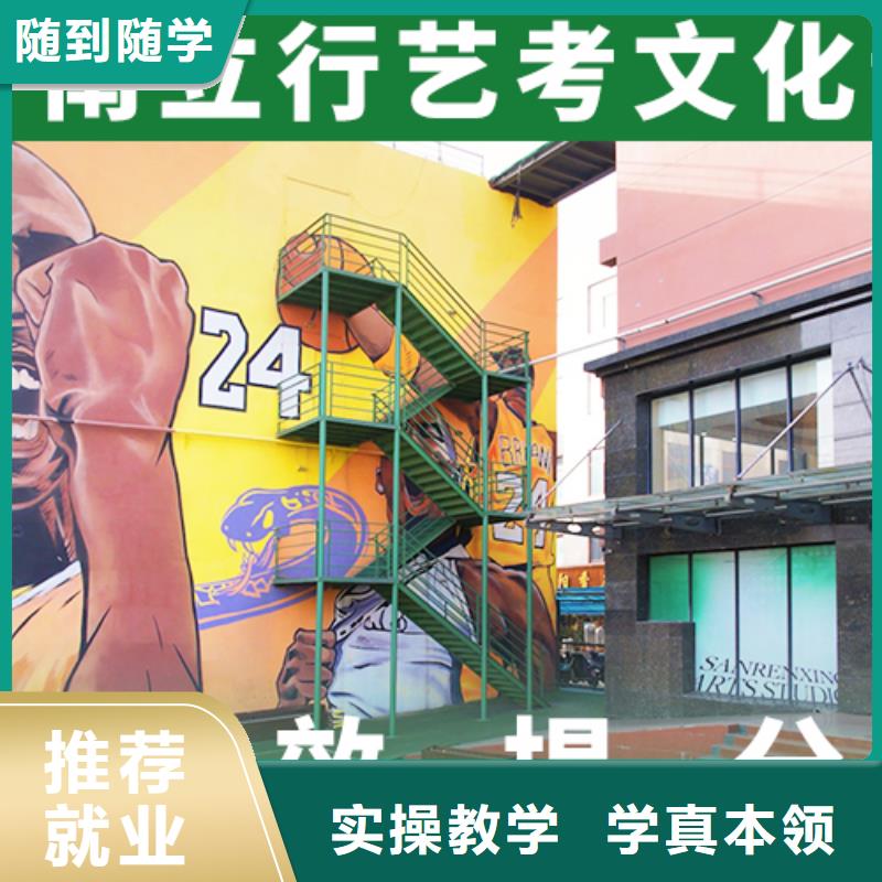 艺考生文化课冲刺【高中一对一辅导】学真技术