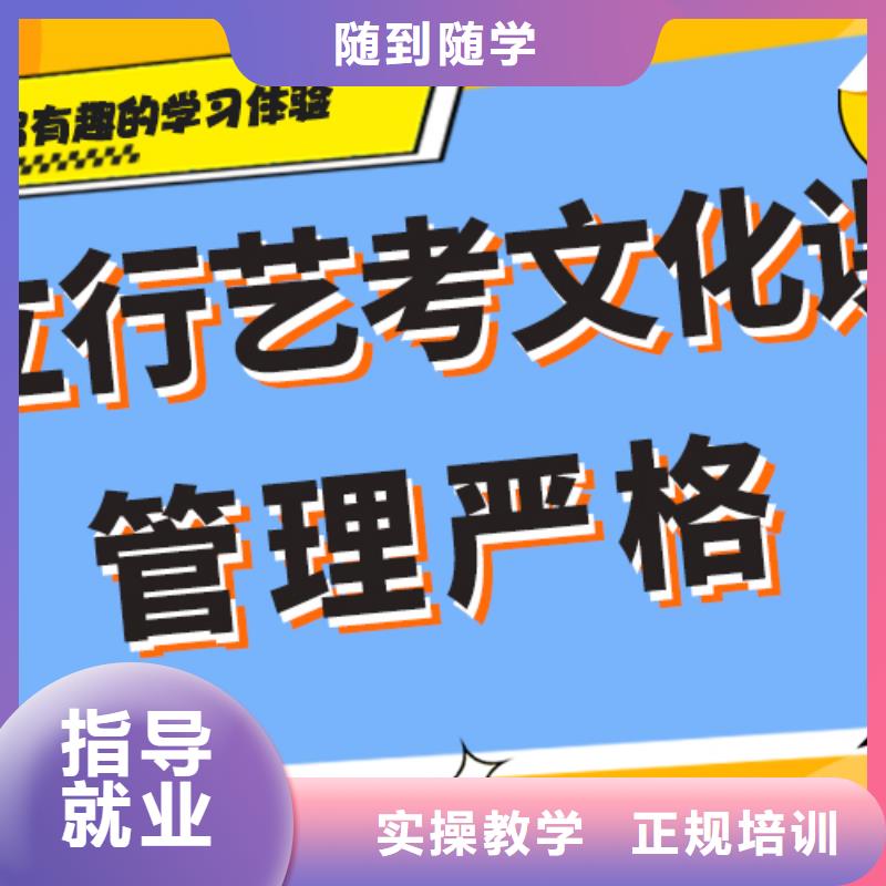 艺考生文化课冲刺【艺考培训机构】学真技术
