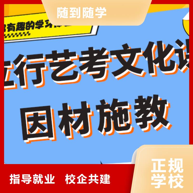 艺考生文化课冲刺【高中一对一辅导】学真技术