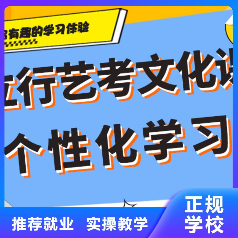 艺考生文化课冲刺【艺考培训】理论+实操