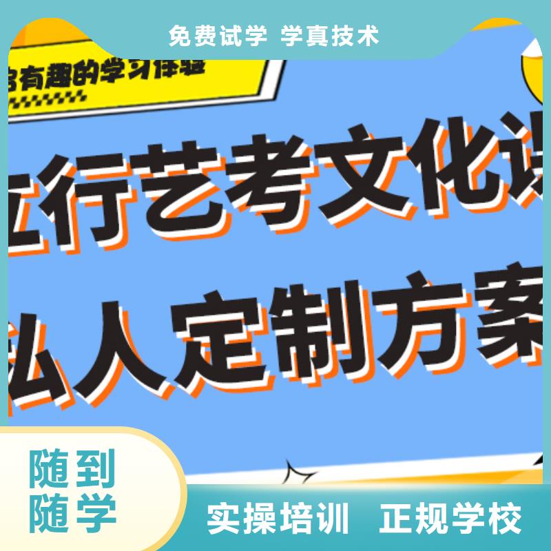 艺考生文化课冲刺美术艺考课程多样