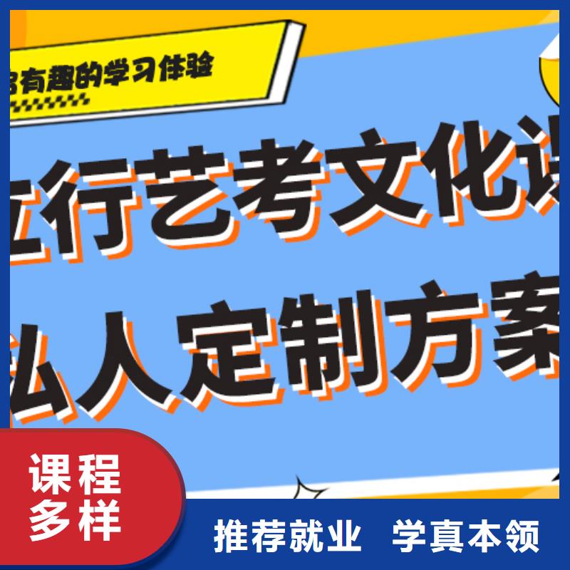 艺考生文化课冲刺高考复读周六班手把手教学