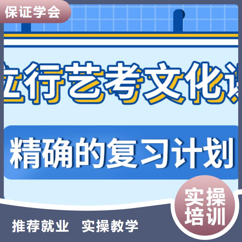 艺考生文化课冲刺【艺考培训机构】学真技术