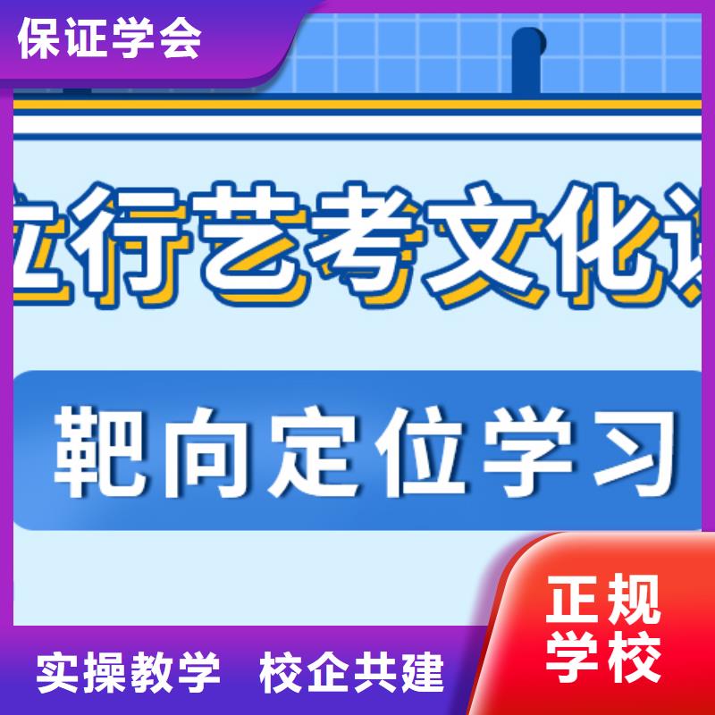 艺考生文化课冲刺【高中一对一辅导】学真技术