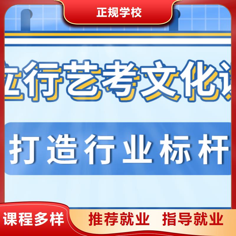 艺考生文化课冲刺【艺考培训机构】学真技术