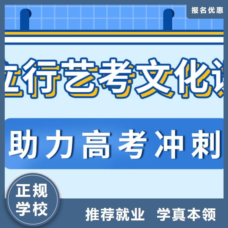 艺考生文化课冲刺【艺考培训机构】学真技术