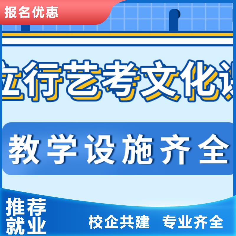 艺考生文化课冲刺【高中一对一辅导】学真技术
