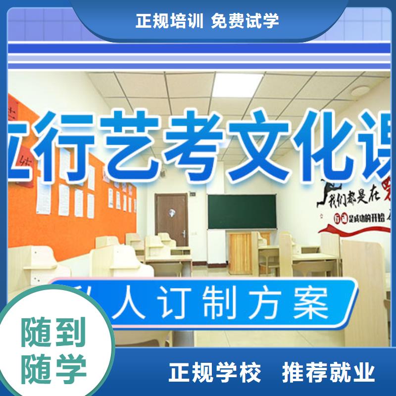 艺考文化课补习,【艺考培训机构】课程多样