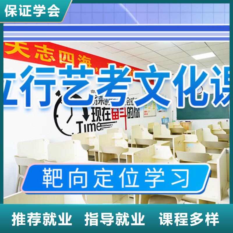艺考文化课补习,【艺考培训机构】课程多样