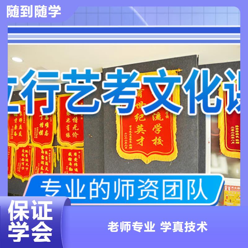 【艺考文化课集训高考语文辅导理论+实操】