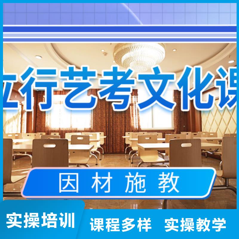 艺术生文化课培训机构有几所