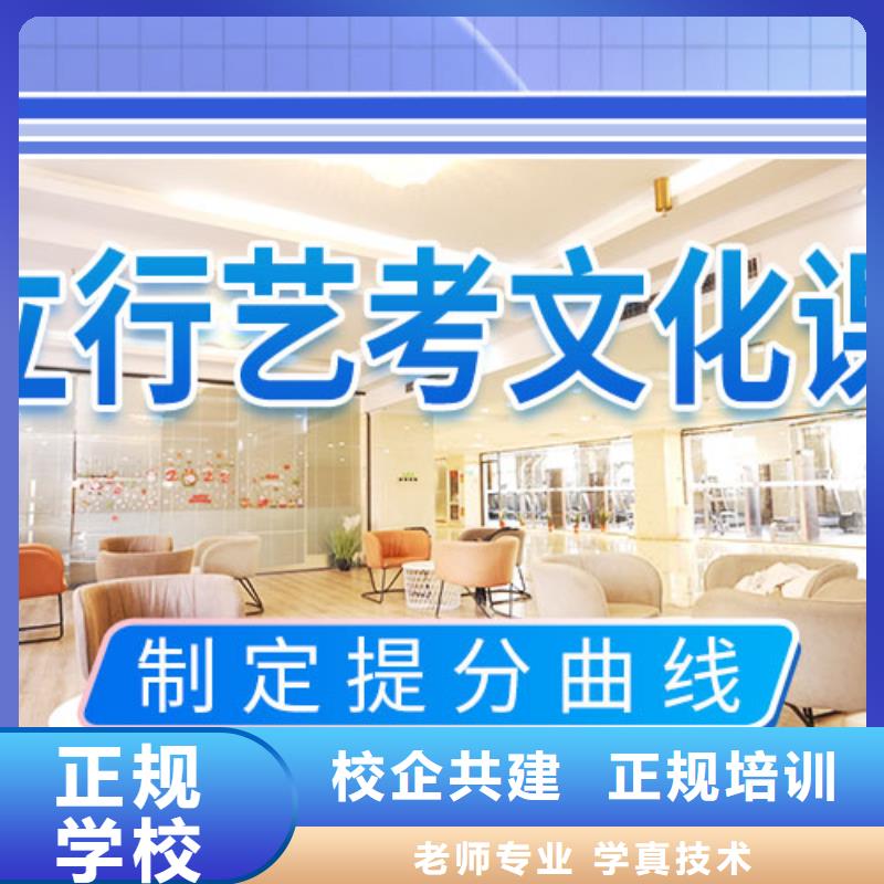 艺考文化课培训艺考生一对一补习老师专业
