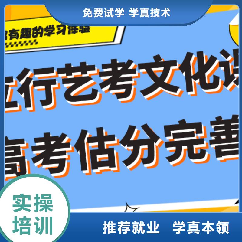 艺考文化课培训,美术生文化课培训学真本领