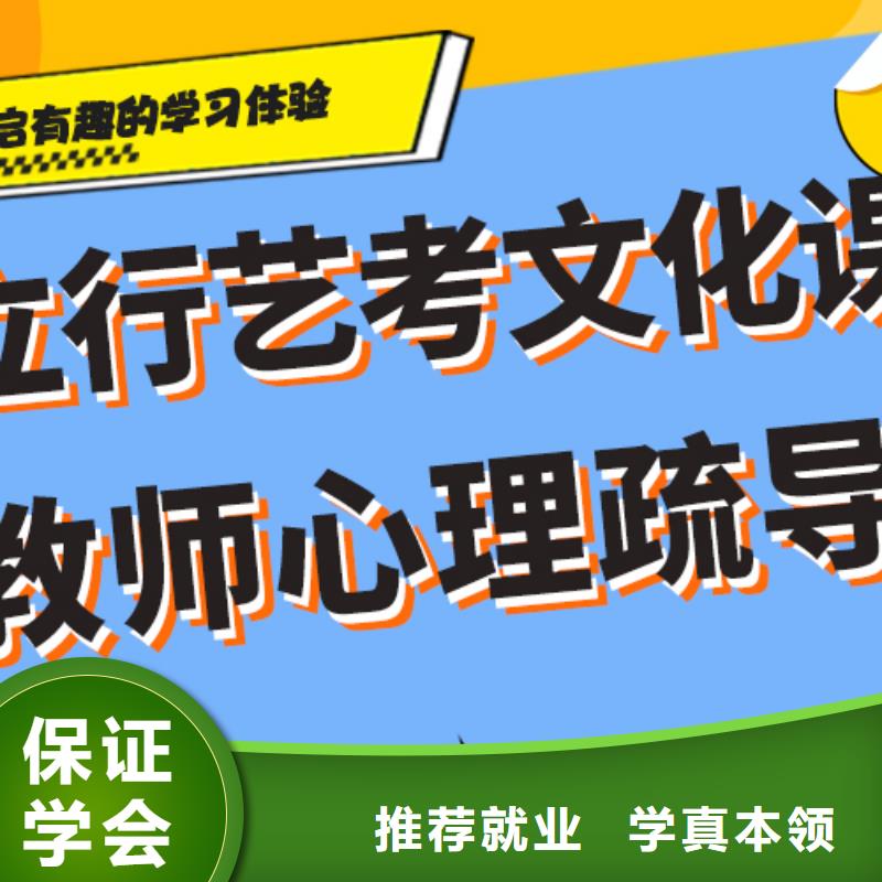 艺体生文化课培训补习哪个好精准的复习计划