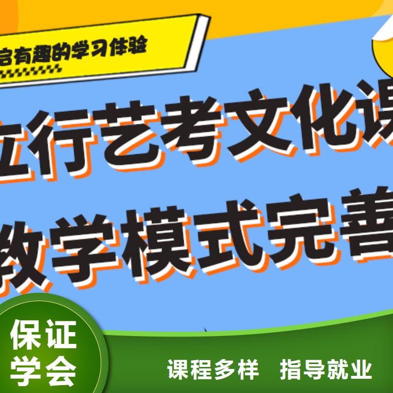 艺术生文化课集训冲刺哪家好定制专属课程